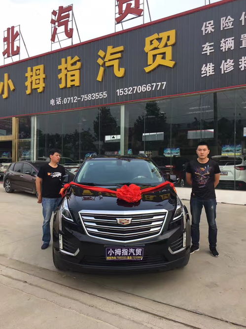 大悟小拇指汽貿(mào) 專業(yè)汽車(chē)信息咨詢服務(wù)指南